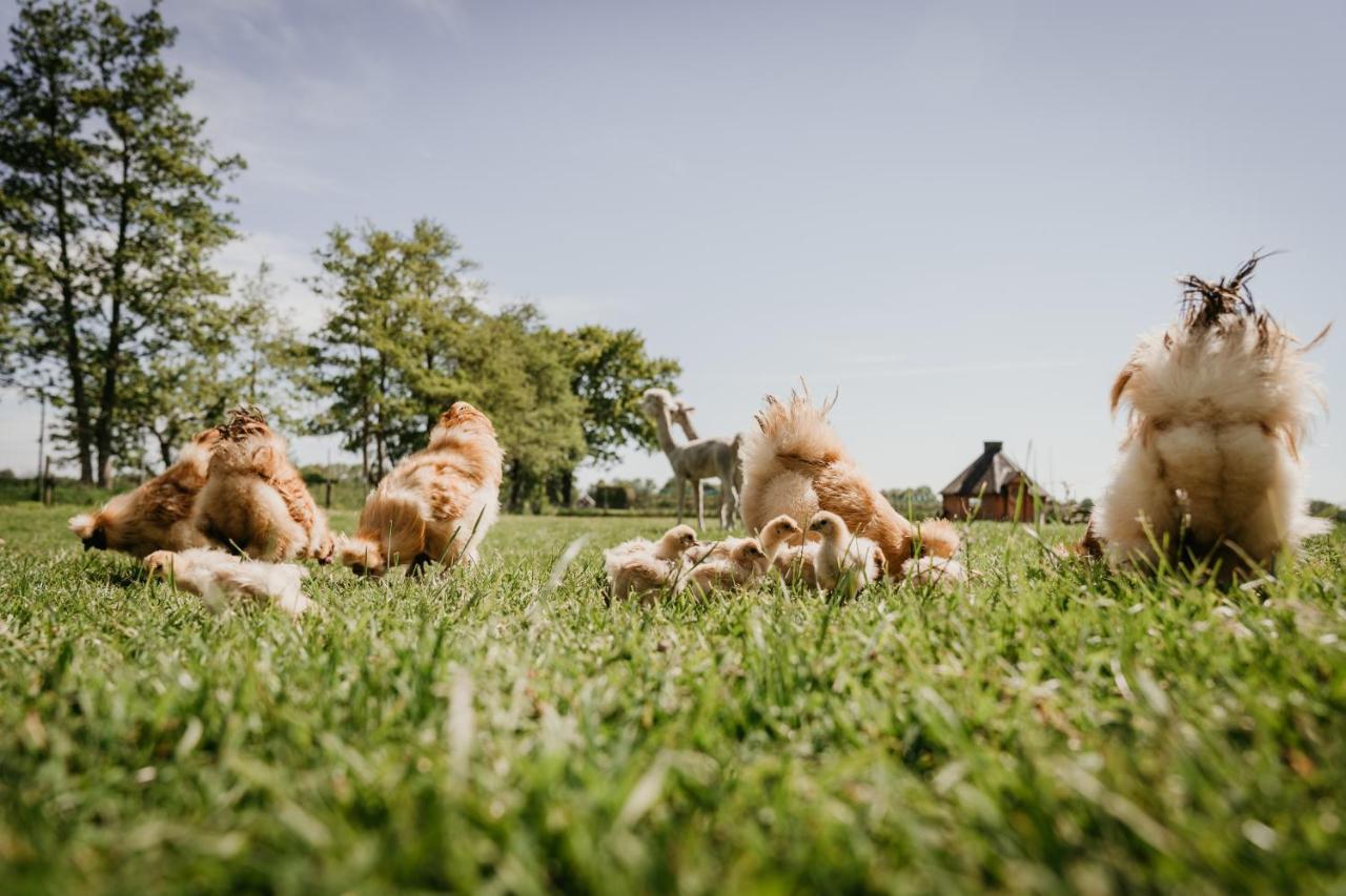 Inner Stillness Wellness Retreat Hébergement de vacances *